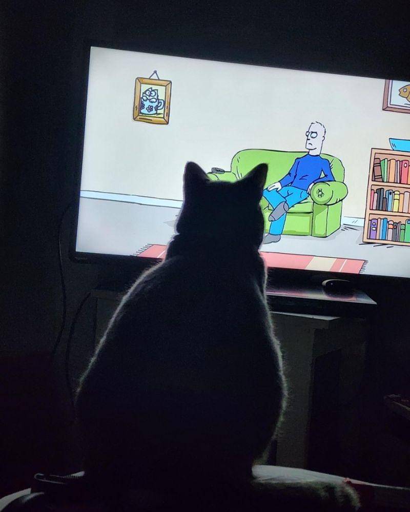 reddit.com/user/punkeymonkey529